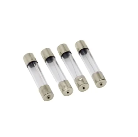1A Glass Fuse 5x20mm PROTECTRON Glass Tube Fast Blow