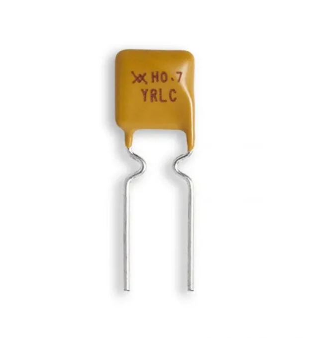 30V 1A  PPTC Resettable Fuse RHEF100