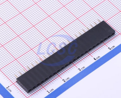 22 Pin Female Header 2.54mm CS-1165SDIG-1*2 Position bergstrip CST