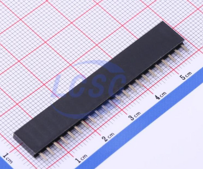 22 Pin Female Header 2.54mm CS-1165SDIG-1*2 Position bergstrip CST